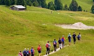 Volontariato attività di gruppo